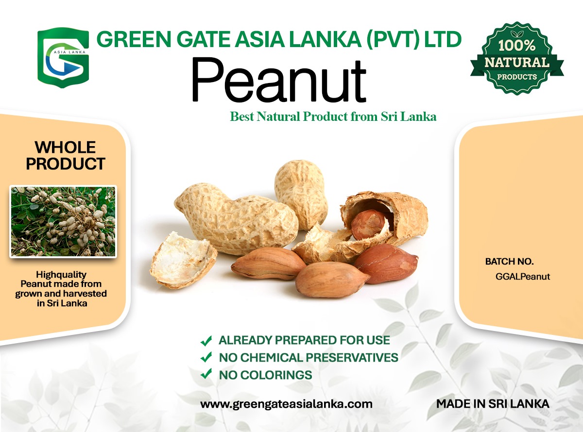 WhatsApp Image 2025-02-24 at 10.33.07_4803bcaa